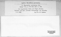 Hypoxylon fragiforme image